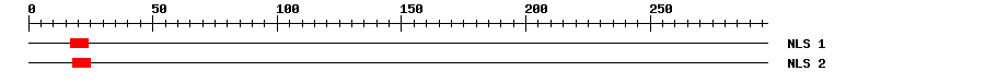NLS