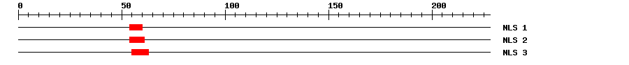 NLS