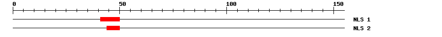 NLS