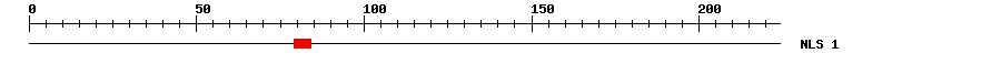 NLS