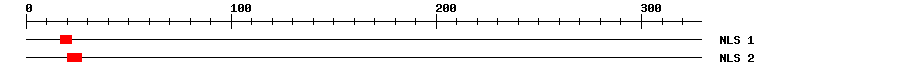 NLS