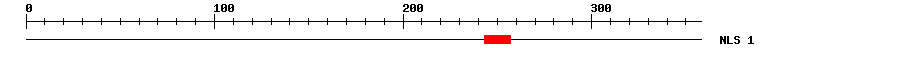 NLS
