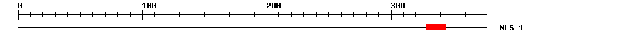 NLS