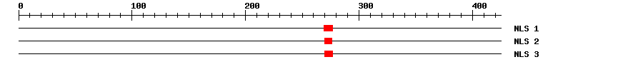 NLS
