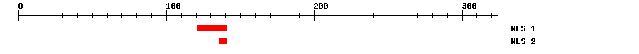 NLS