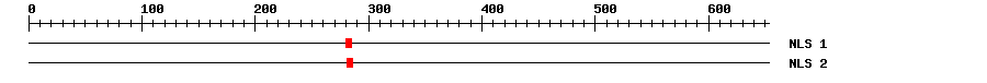 NLS