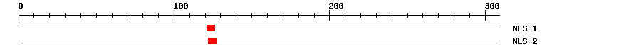 NLS