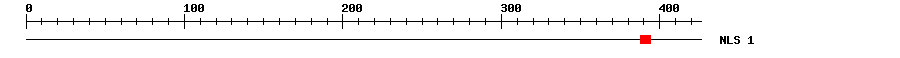 NLS