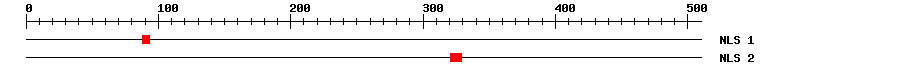 NLS