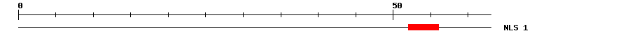 NLS