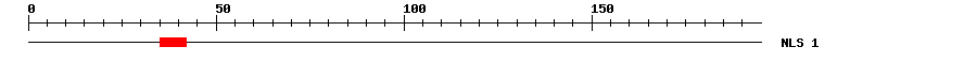 NLS