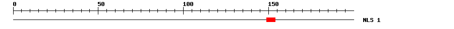 NLS