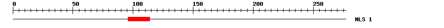 NLS