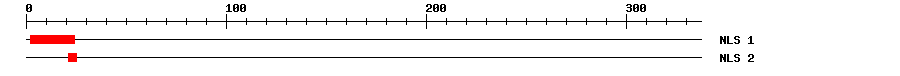 NLS