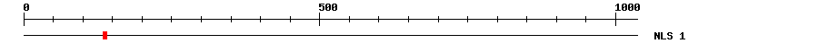 NLS