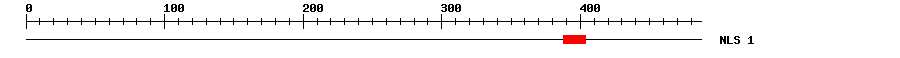 NLS
