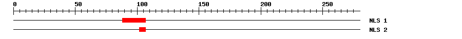 NLS
