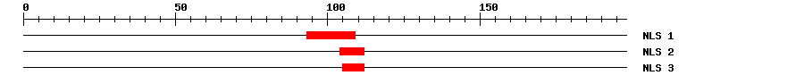 NLS
