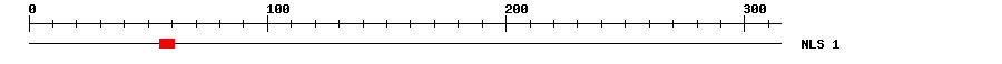 NLS