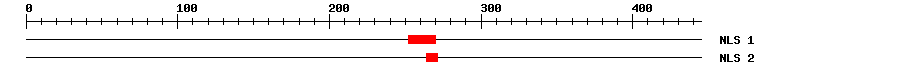 NLS