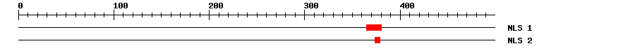 NLS