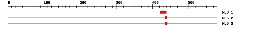 NLS