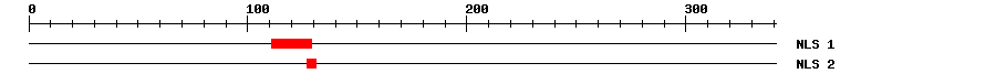 NLS