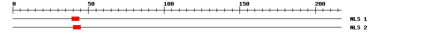 NLS