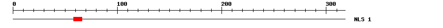NLS