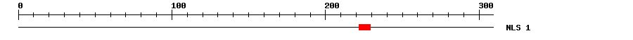 NLS