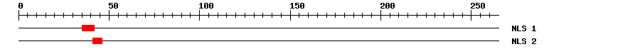NLS