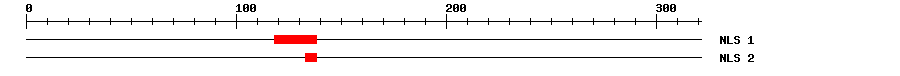NLS