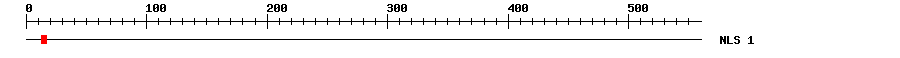 NLS