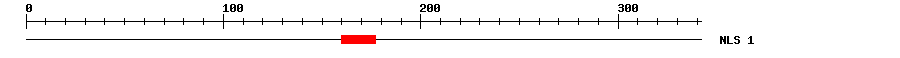 NLS