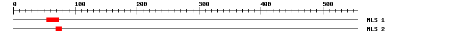 NLS