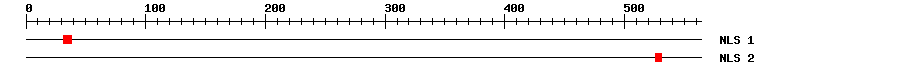 NLS