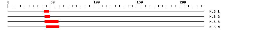 NLS