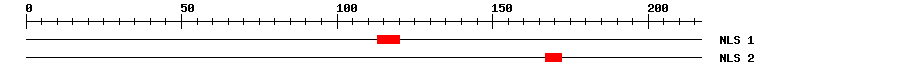 NLS