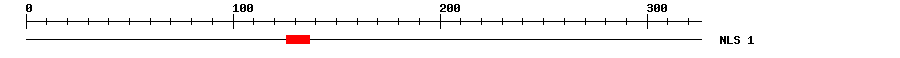 NLS
