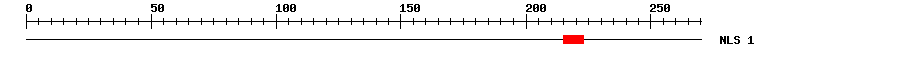 NLS