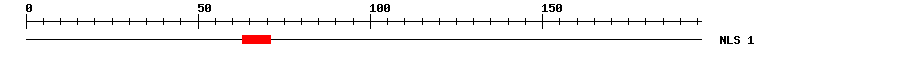 NLS