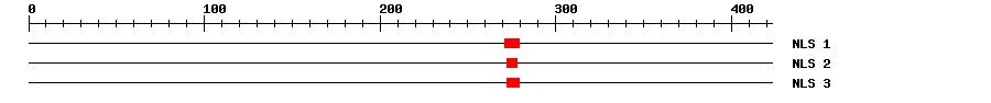NLS