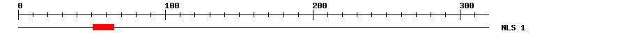 NLS