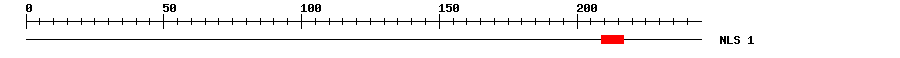NLS