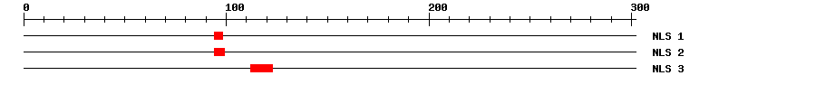 NLS