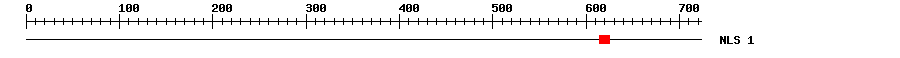 NLS