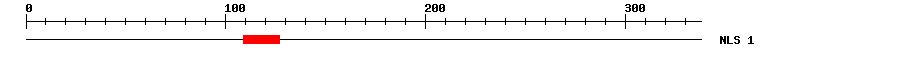 NLS