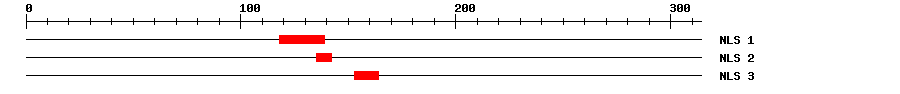 NLS