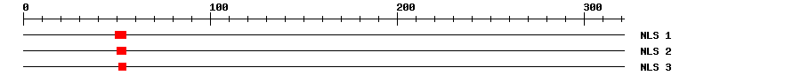 NLS