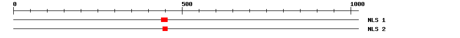 NLS